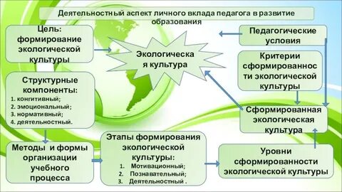 Экологическая культура подходы