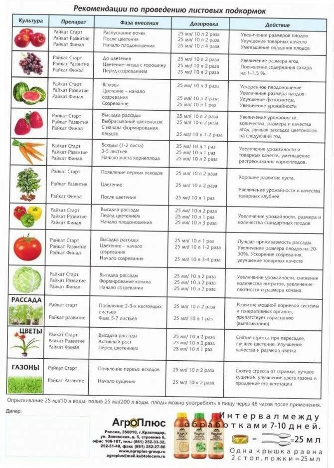 Подкормки овощей график. Схема подкормки рассады овощных культур. Схема подкормки рассады томатов. Схема удобрения рассады томатов. График подкормки томатов