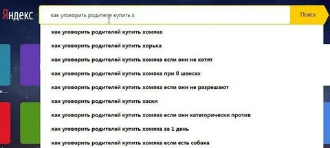 Как уговорить родителей завести собаку