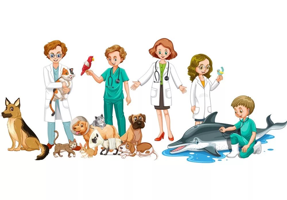 ветеринар. ветеринария экзотических животных. доктор сотников ветеринар. ветеринарная клиника. профессия ветеринар для детей.