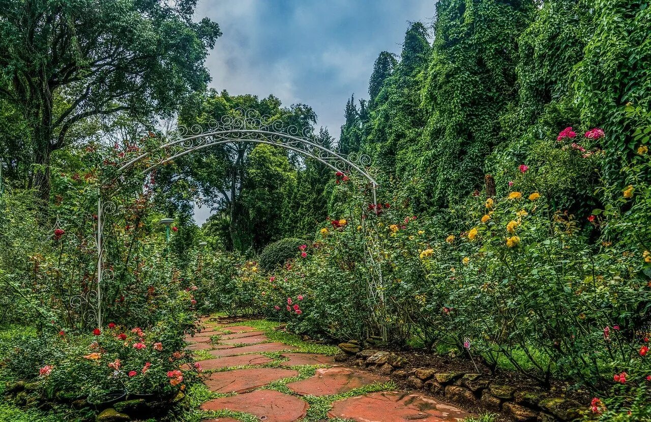Ботаника участки. Ботанический сад Чанг мая (Chiang mai Botanical Garden). Сухумский Ботанический сад. Кишиневский Ботанический сад. Ботанический сад Кирстенбош.