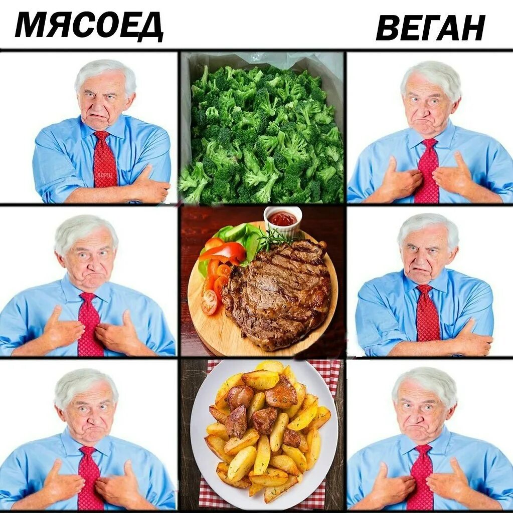 Веган и вегетарианец. Вегетарианцы против Мясоедов. Мясоед вегетарианец веган. Вегетарианец и мясоед сравнение.