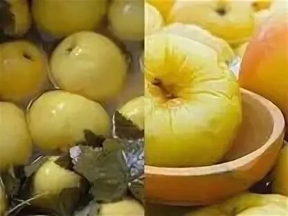Что приготовить из кислых яблок на зиму. Моченые яблоки.