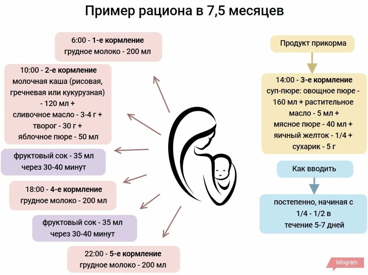 Чем можно кормить 8. Рацион ребёнка в 7 месяцев на грудном вскармливании. Рацион питания ребенка в 7 5 месяцев на грудном вскармливании. Питание грудничка в 7 месяцев при грудном вскармливании. Питание малыша в 7 месяцев на грудном вскармливании.