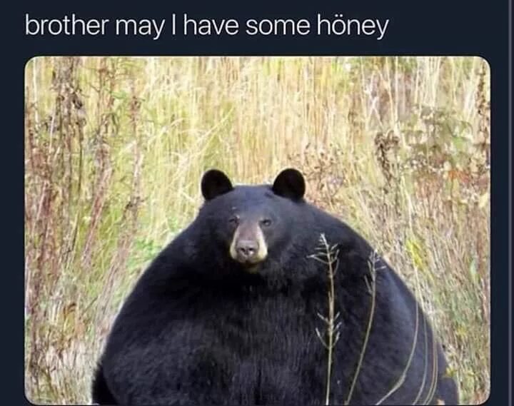 Would you like to have some honey