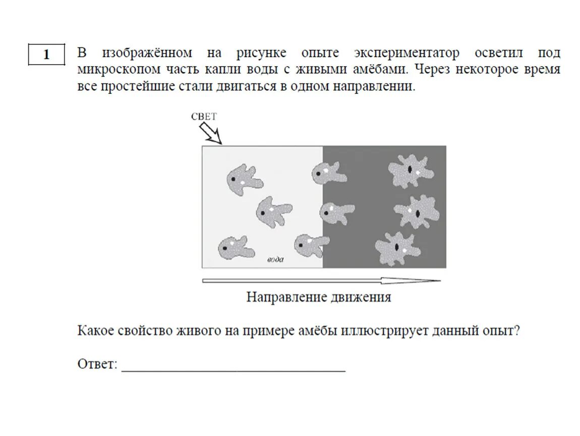 1 Задание ОГЭ по биологии. ОГЭ по биологии задания. ОГЭ биология задачи. Задания из ОГЭ по биологии. Огэ биология видео