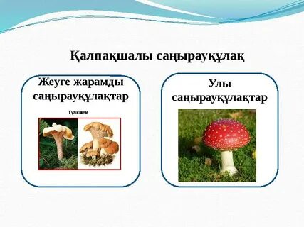 Желіде қалың жұрт қалыңдықты сиқытып жатыр.