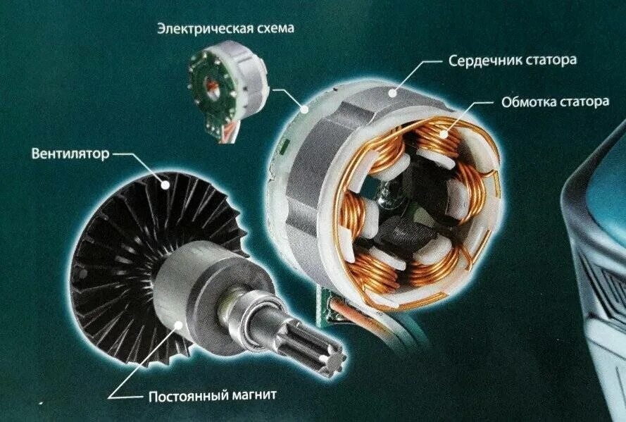 Какой двигатель лучше щеточный или безщеточный. Бесколлекторный двигатель постоянного тока ротор. Ротор бесщеточного статора. Бесколлекторный электродвигатель конструкция. Строение бесколлекторного электродвигателя постоянного тока.