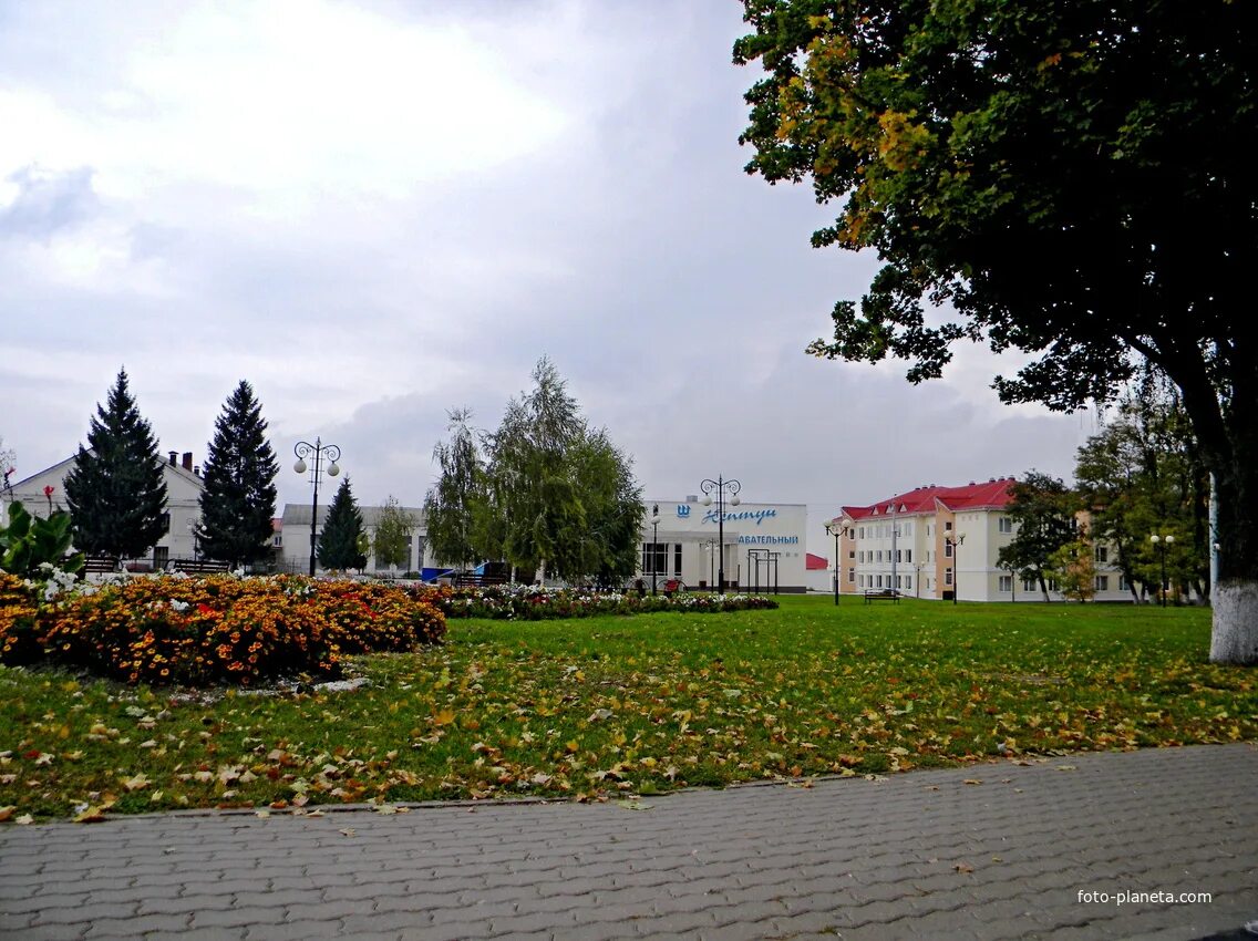 Погода п ракитном белгородской