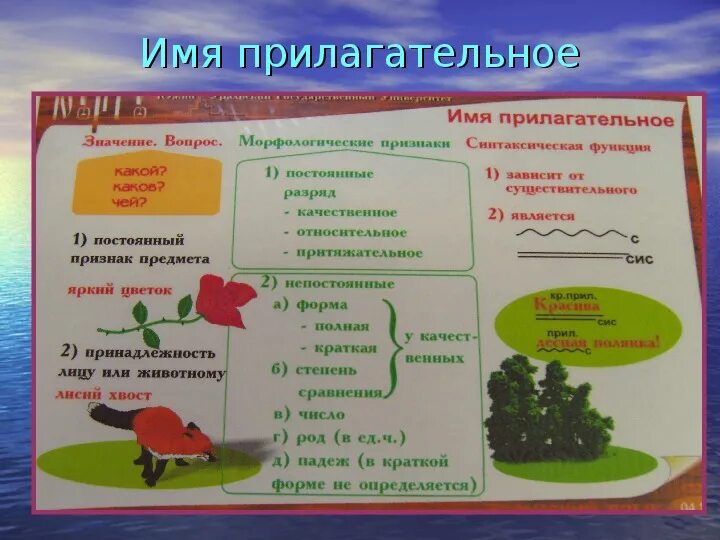 Памятка имя прилагательное 3 класс. Имя прилагательное. Лэпбук на тему имена прилагательные. Плакат на тему прилагательные. Проект на тему имя прилагательное.