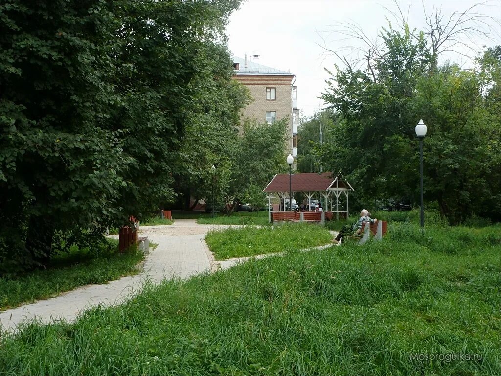 Парк березовая роща москва. Парк березовая роща москва