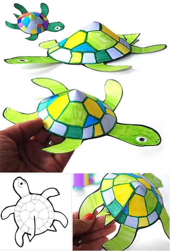 Make the turtle