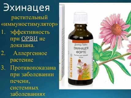 Растения иммуномодуляторы