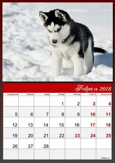 Покажи календарь на февраль месяц