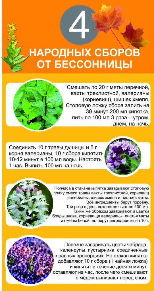 Лечение бессонницы женщин. Народные средства от бессонницы. народные средства отбессоницы. народныесредстваоьбессоницы. народное средстао от бесс.