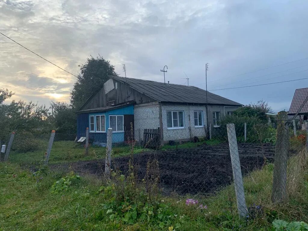 Гремячевский карьер нижегородская область. Гремячево нижегородская область. Будогощь дома. Август в деревне гремячево. Гремячево родник.