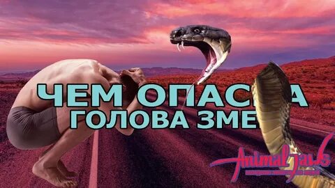 К чему снятся отрубленные головы змей