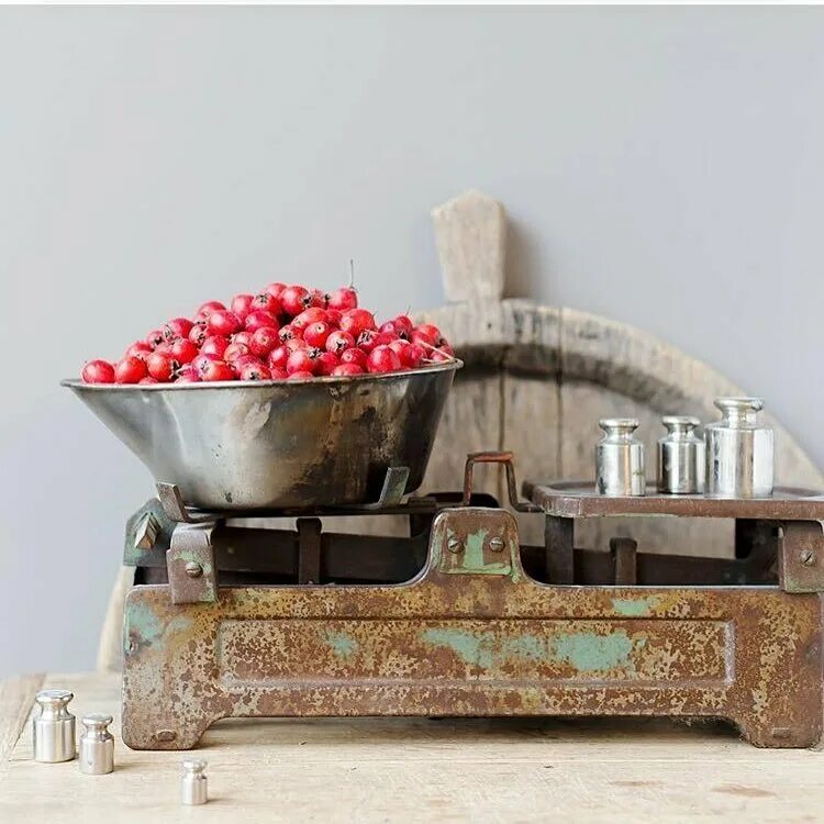 магазин океан владикавказ маркуса. фермер маркет владикавказ морских пехотинцев. гуля фермер маркет владикавказ. магазин океан владикавказ маркуса. этикетка фермер.