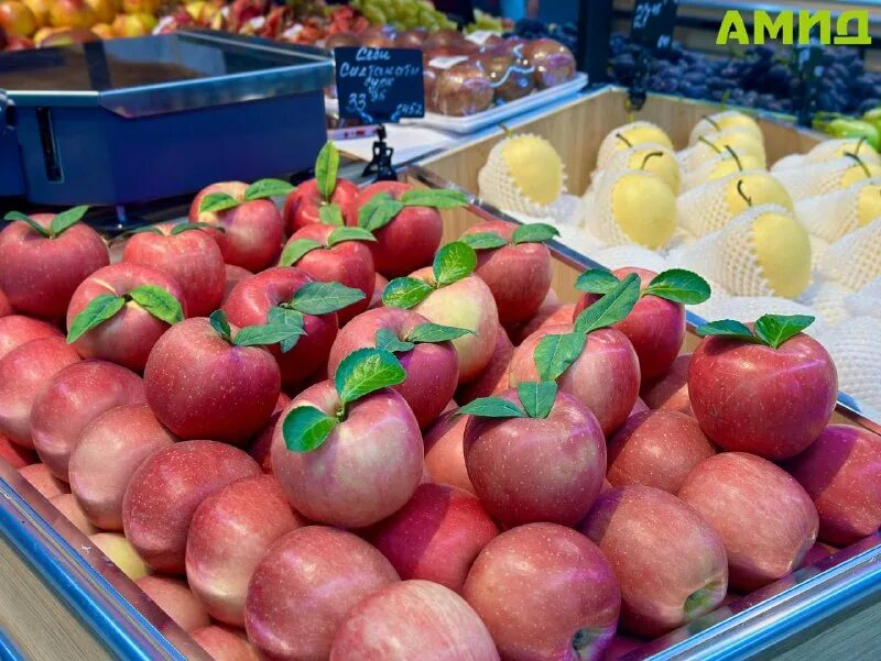 рудаки плаза в худжанде. супермаркет баракат душанбе. супермаркет амид в худжанде. амид худжанд. амид худжанд.