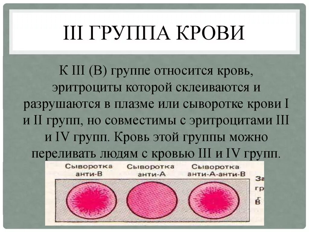 Чем отличается положительная группа. 3 Группа крови. Третья отрицательная группа крови. Третья положительная группа крови. Треттретья положительная группа крови.