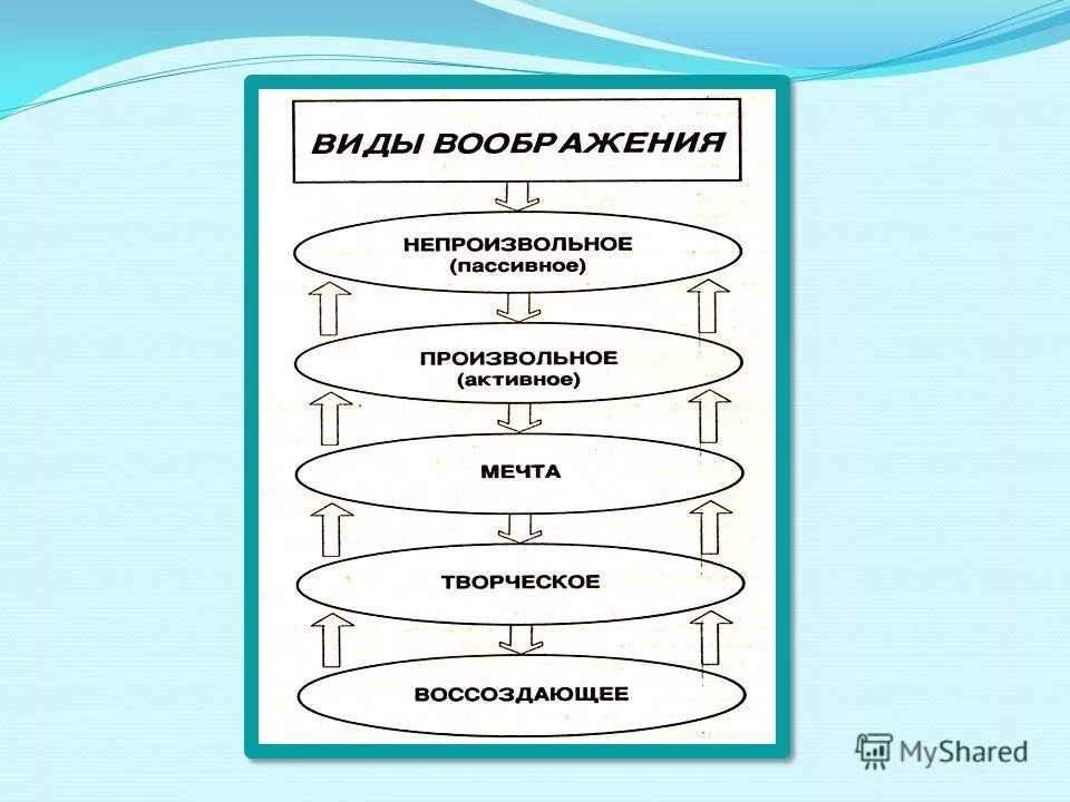 Воображение 13.3 аргумент. Виды воображения схема. Виды воображения у детей младшего школьного возраста. Формирование воображения у младших школьников:. Виды активного воображения.