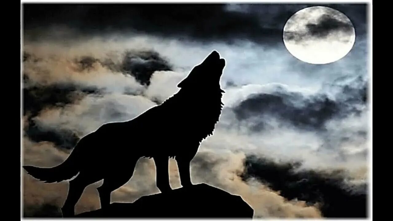 Вой волка на луну песня. Волк и Луна. Собака воет. Собака воет на луну. Волк воет на луну.