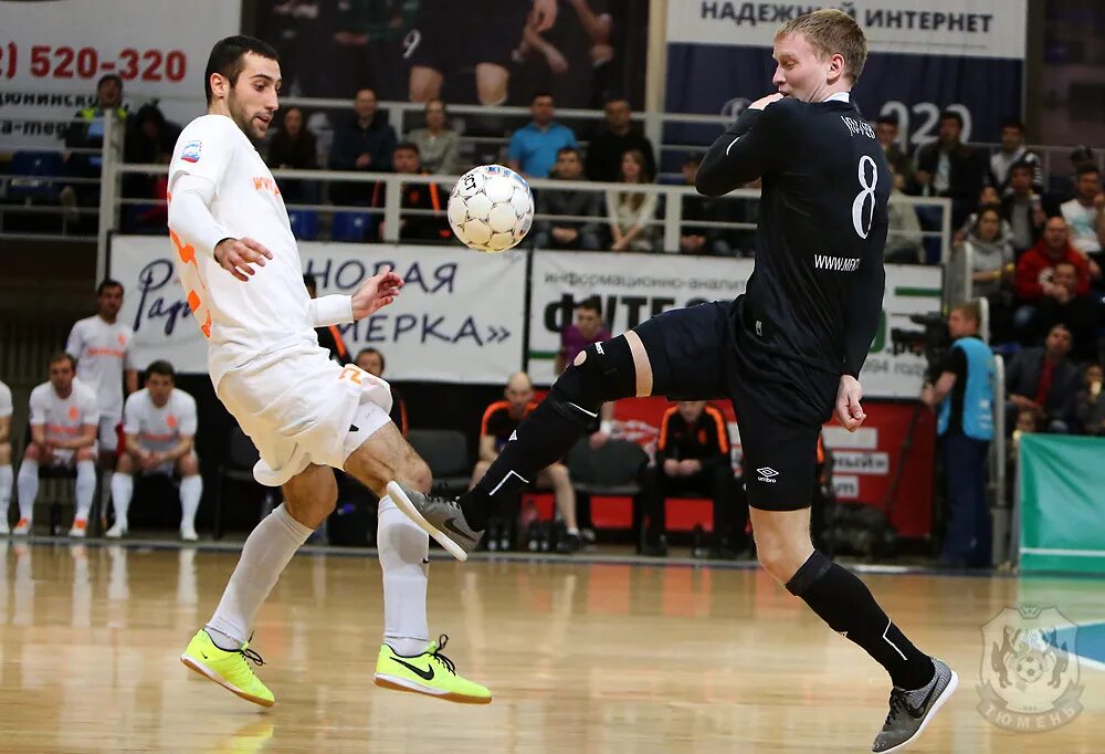 брест беларусь бгк. мфк сибиряк в тюмени. матчай. динамо самара. фотографии группы поддержки мфк сибиряк.