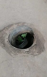 Воруют люки