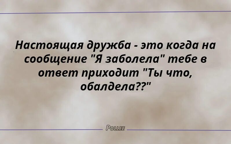Мир дружба выражение