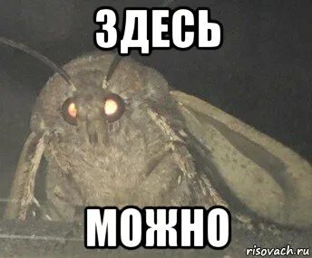 Слишком ярко