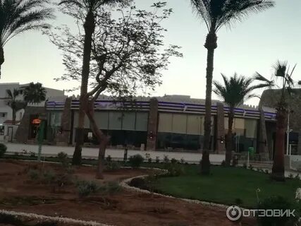 Beach albatros sharm 4 отзывы