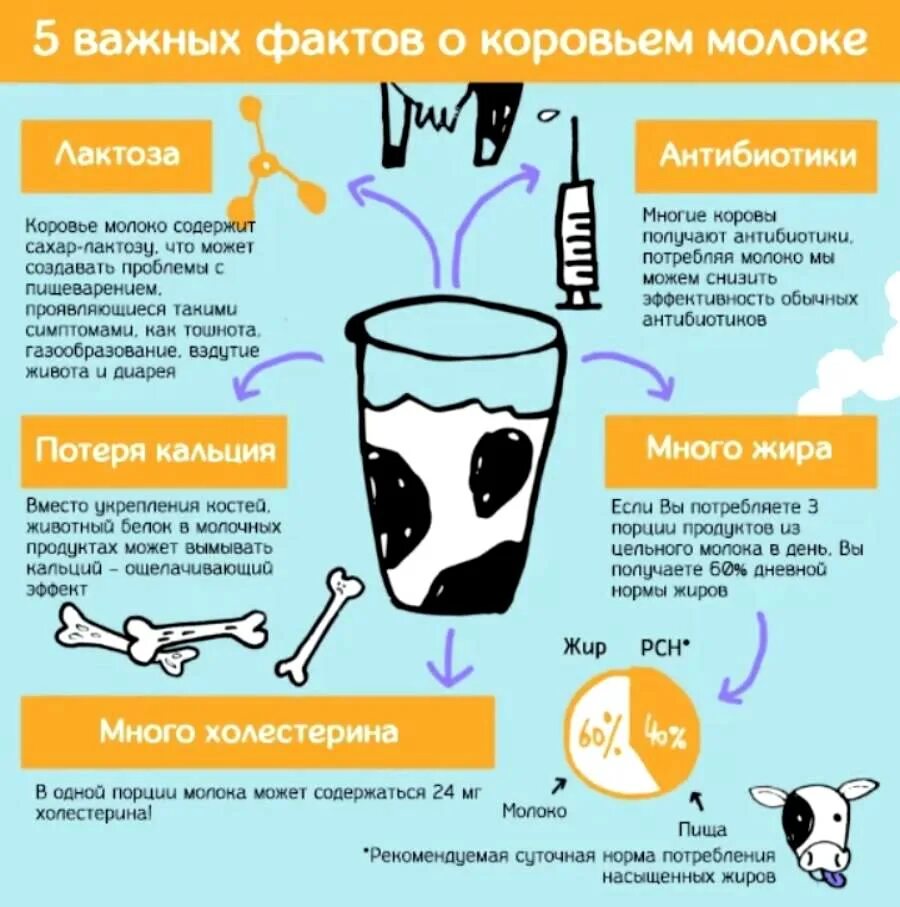 Молоко вымывает кальций. Факты о коровьем молоке. Польза молока. Полезные факты о молоке. Сколько нужно пить молоко