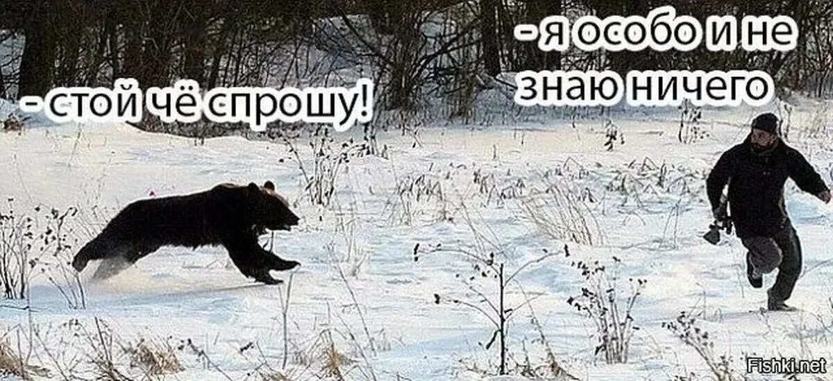 Давай сейчас задам