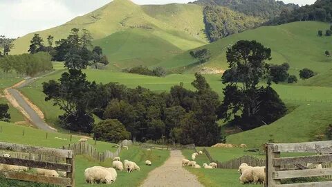 New farm