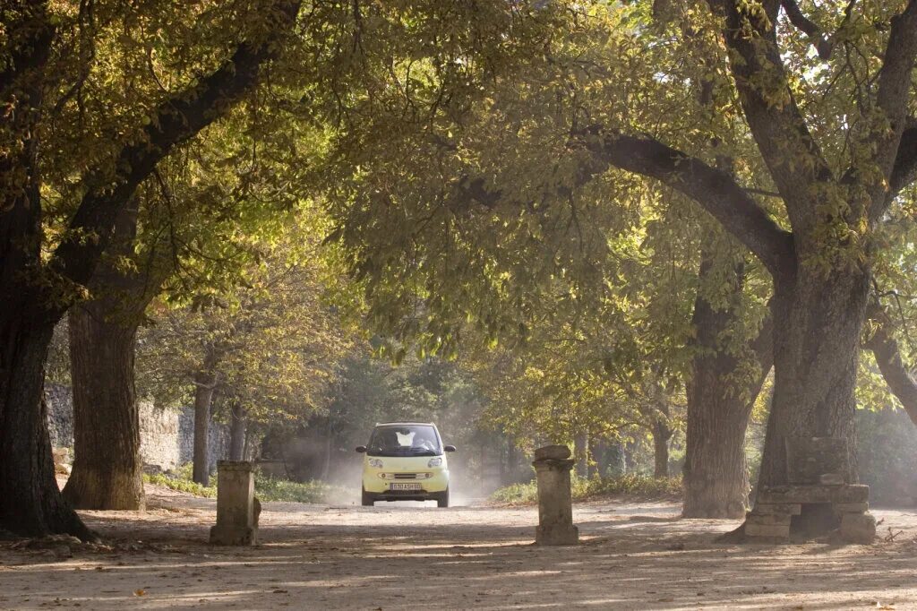 рассел кроу 2006. марион котийяр хороший год(2006). рассел кроу и марион котийяр. где снимали хороший год. шато из фильма хороший год.