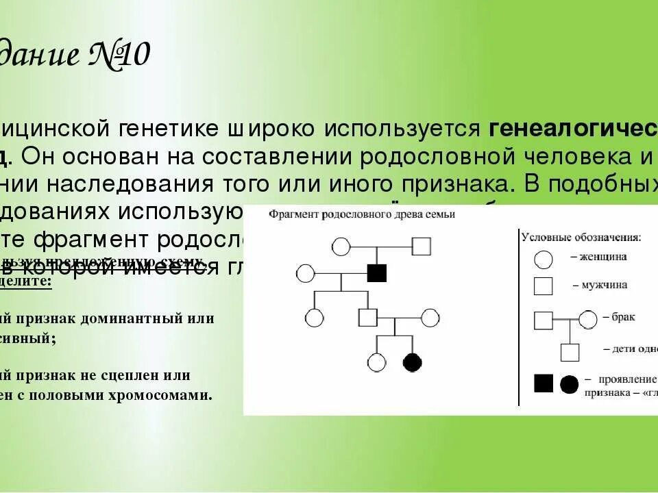 Метод изучения генетики основанный на анализе родословной. Родословная генетика. Задачи на составление родословий. Составление родословной медицинская генетика. Задания на родословную.