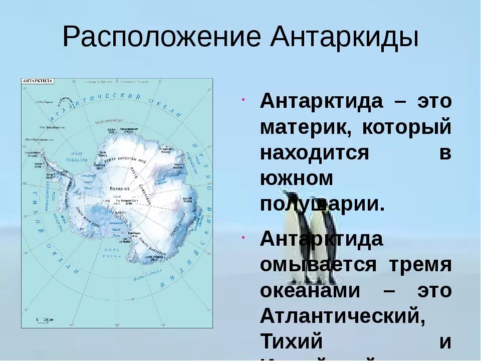 Наибольшие заливы южного океана