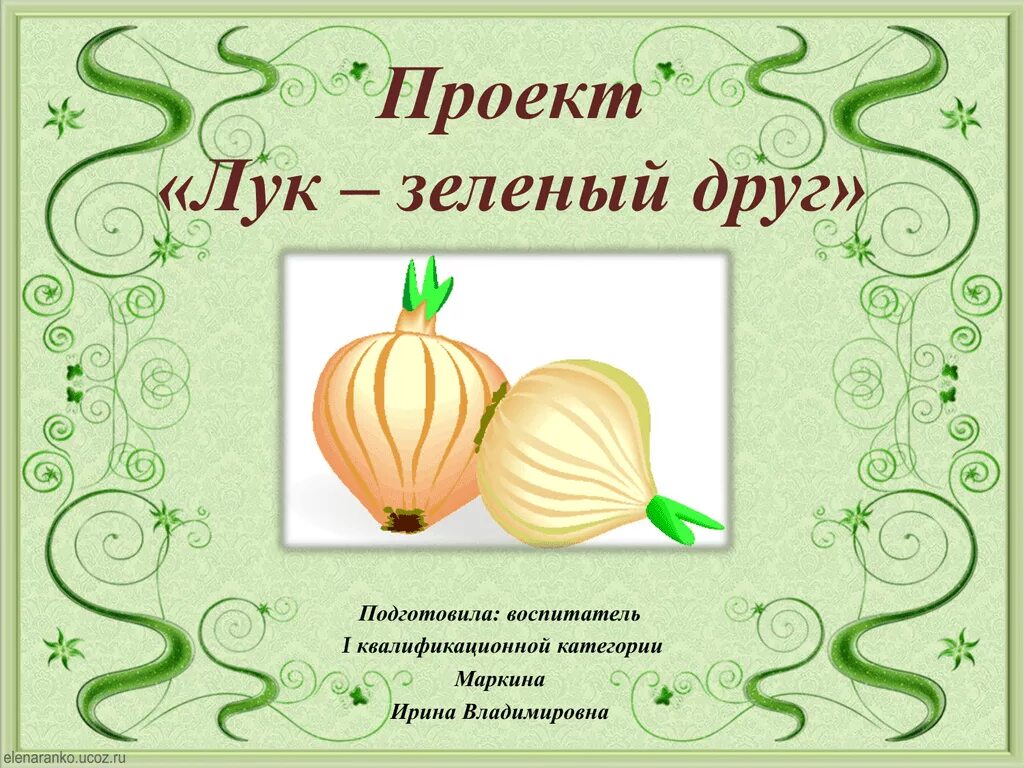 Проект лук наш друг. Проект лук наш друг. Проект лук наш друг. Лук для детей. Проект лук зеленый друг.