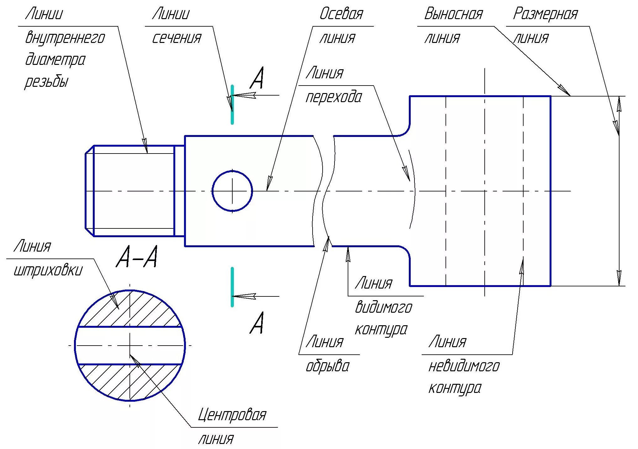 Чертеж сборочный толщина линий. Линии переноса в черчении. Чертеж осевой детали. Основные линии чертежа детали.