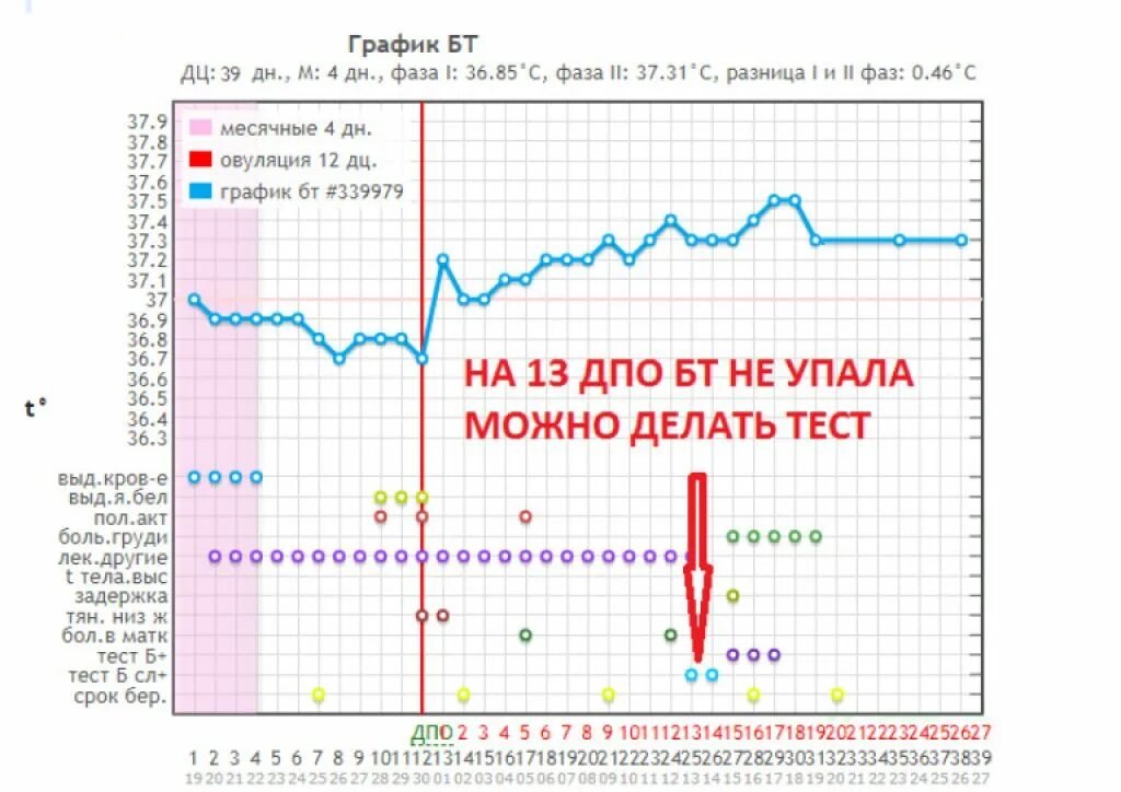 Поднимается температура 37 месячные. График БТ В беременный цикл. Беременный график БТ после овуляции. Беременный график базальной температуры при беременности. График базальной температуры с овуляцией и беременностью.