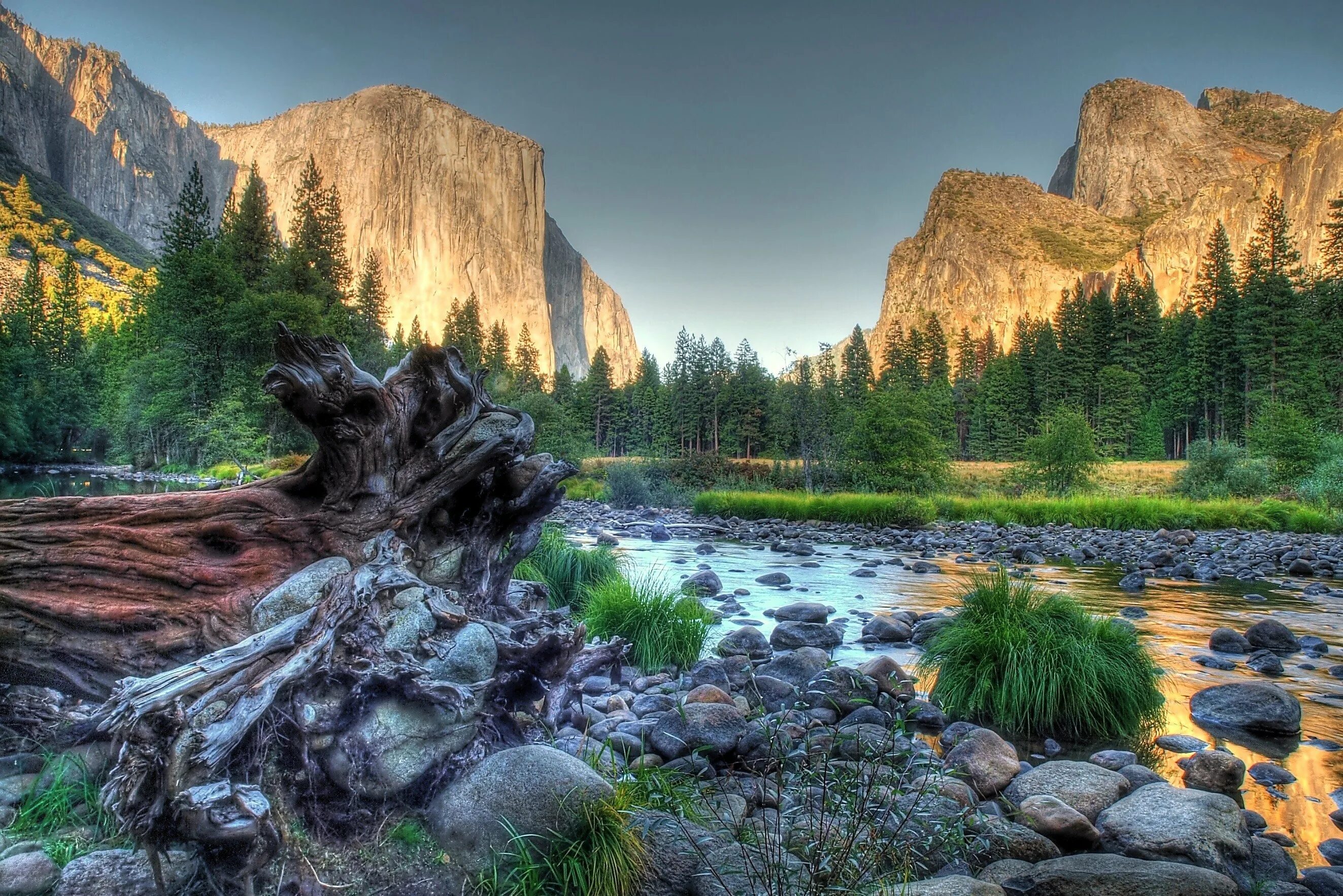 1080 максимальное разрешение. Йосемитский национальный парк. Йосемити каменный лес. Река Мерсед, Йосемити, США.. Красивая природа.