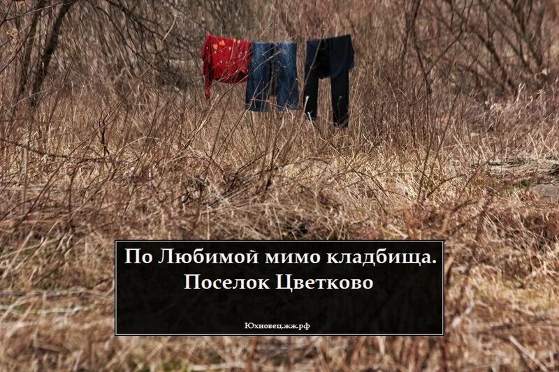 мимо кладбище. почему снится кладбище и могилы. королев невзоровское кладбище. мимо кладбище. кладбище сонник спать.