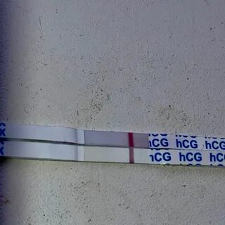 14 дпо