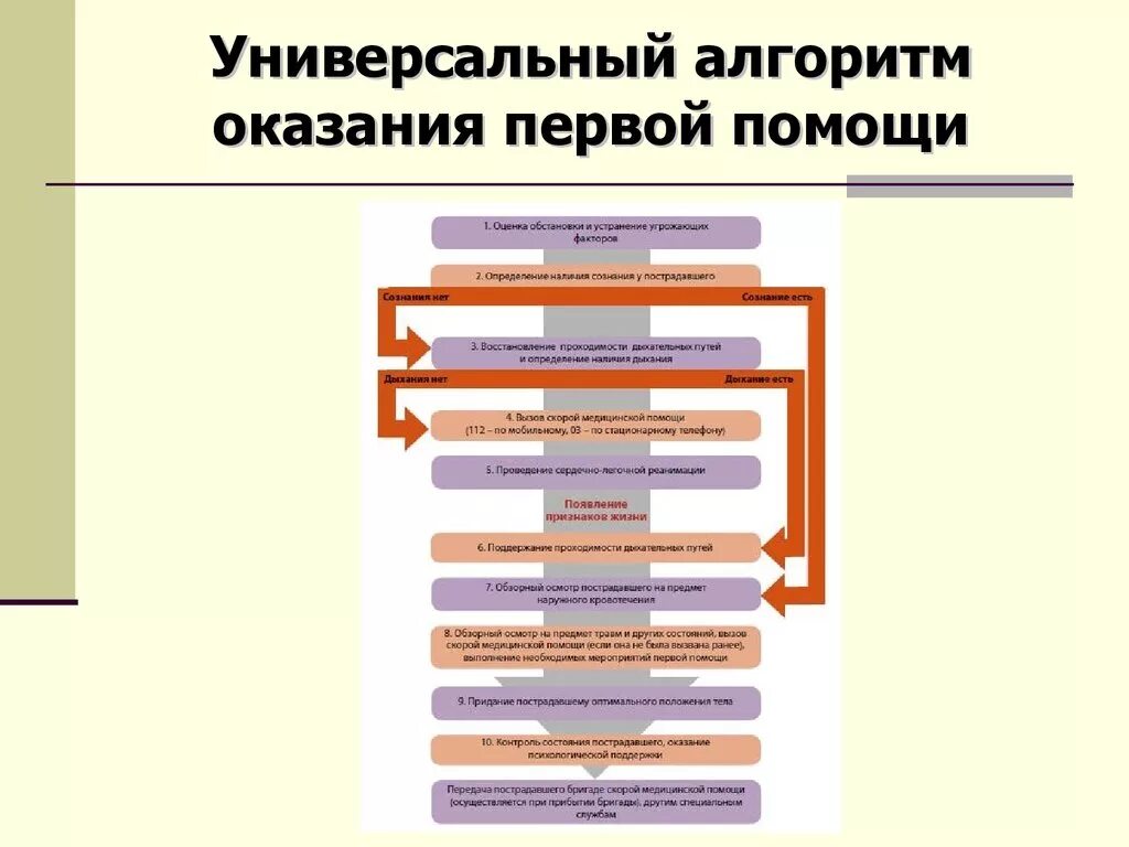 Составьте алгоритм оказания 1 помощи. Универсальный алгоритм оказания первой помощи. 1.Универсальный алгоритм оказания первой помощи.. Алгоритм оказания первой помощи согласно универсальному алгоритму. Универсальный алгоритм при оказании 1 медицинской помощи.