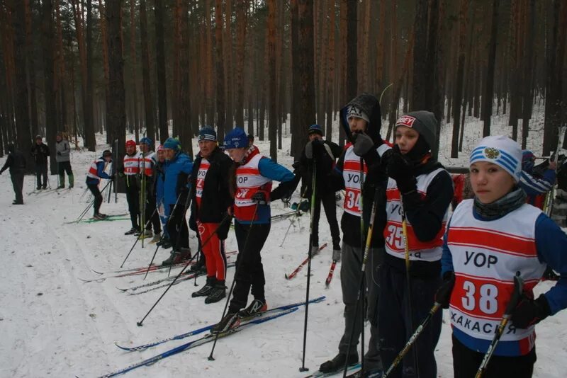 Ветераны лыжного спорта псков