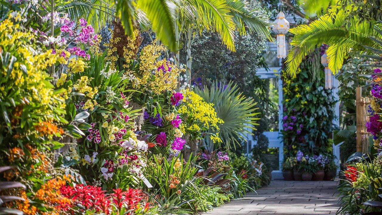 Orchid garden. Orchid garden. Singapore orchid garden. Сад орхидей гуанчжоу. Сингапур орхидеи ботанический сад.