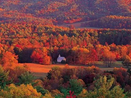 This fall