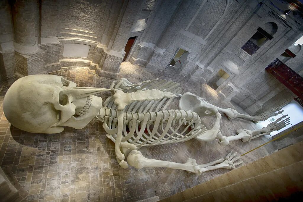 Скелет великанов Смитсоновский университет. Корабль Лефорт скелеты. Самая крупная кость скелета