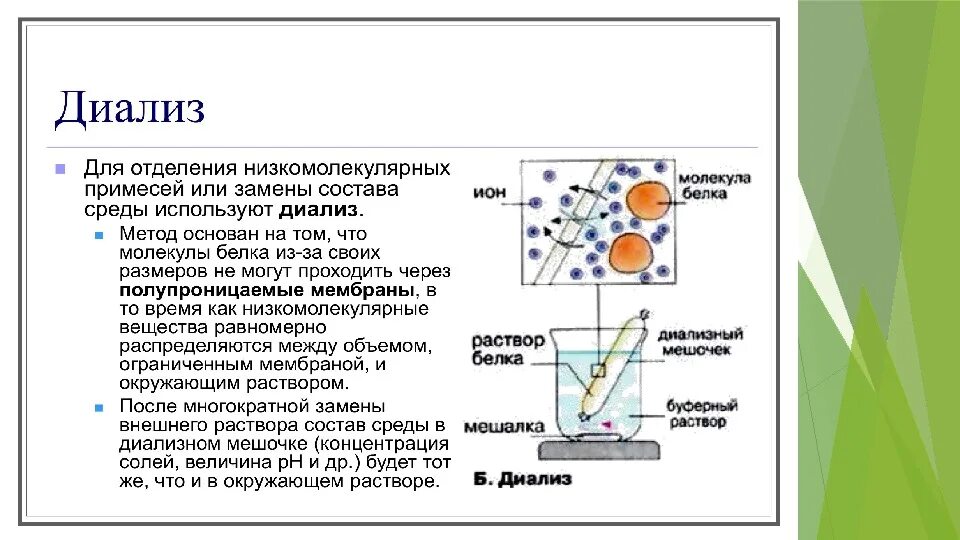 Растворы белков в воде. Диализ метод очистки белков. Диализ схема проведения биохимия. Диализ принцип метода. Диализ схема проведения.