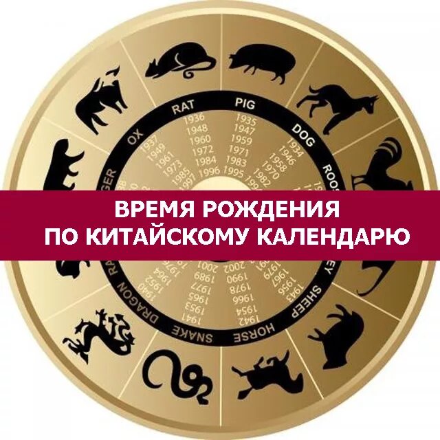 Вижу дату рождения на часах. Час рождения по китайскому календарю. Китайский гороскоп. Часы в китайском календаре. Часы китайского гороскопа.